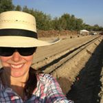 Rancho Meladuco Date Farm discount code